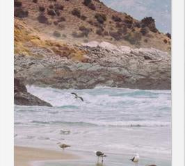 Cuadro Papudo, Chile