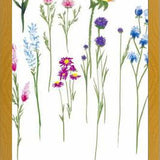 Cuadro Naturaleza