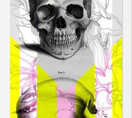 Cuadro Skull in Summer
