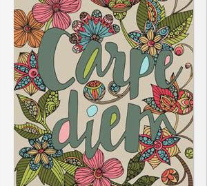 Carpe diem