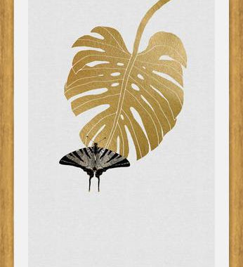 Cuadro Butterfly and Monstera Leaf