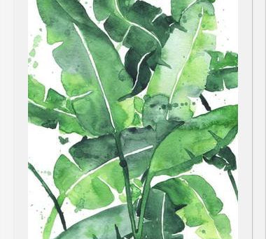 Cuadro Tropical Green 2