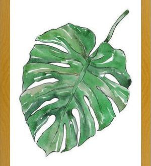 Cuadro Monstera Deliciosa