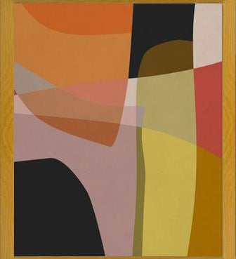 Cuadro Abstract Vision 6