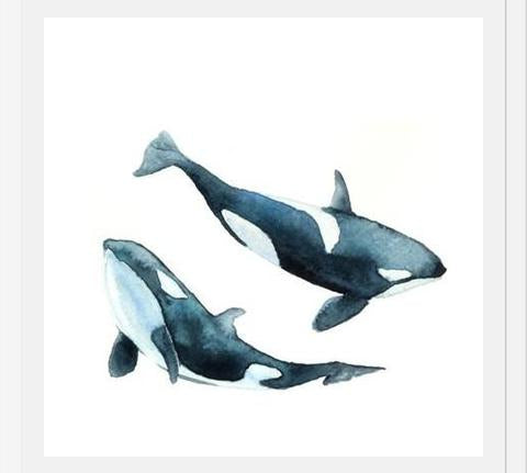 Cuadro Las Orcas