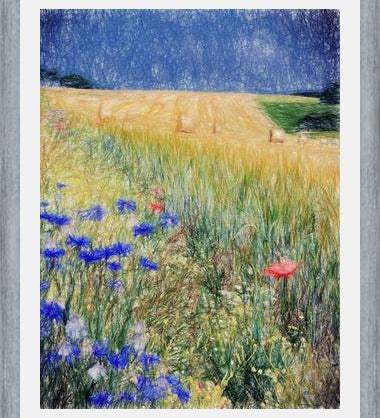 Cuadro Flowery Field