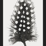 Cuadro Pluma Acuarela 4