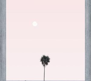 Cuadro La Palmera