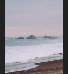 Cuadro Relajo, Constitución, 2019