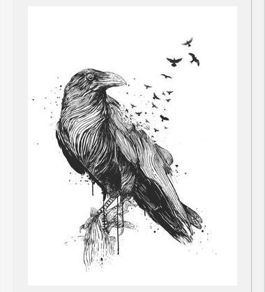 Cuadro Born to be free (bw)