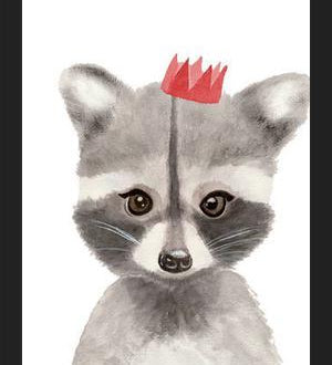 Cuadro Mapache con coronilla