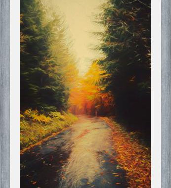 Cuadro Autumnal Landscape 3