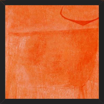 Cuadro Toro Naranja