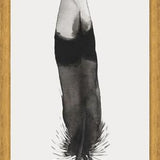 Cuadro Pluma Acuarela 2