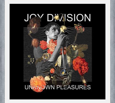 Cuadro Joy Division