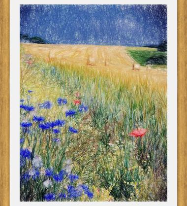 Cuadro Flowery Field