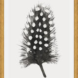 Cuadro Pluma Acuarela 4