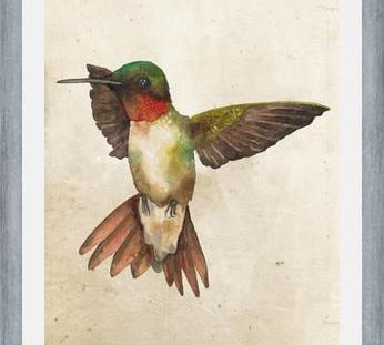 Enmarcado Colibrí Acuarela