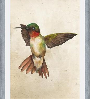 Enmarcado Colibrí Acuarela
