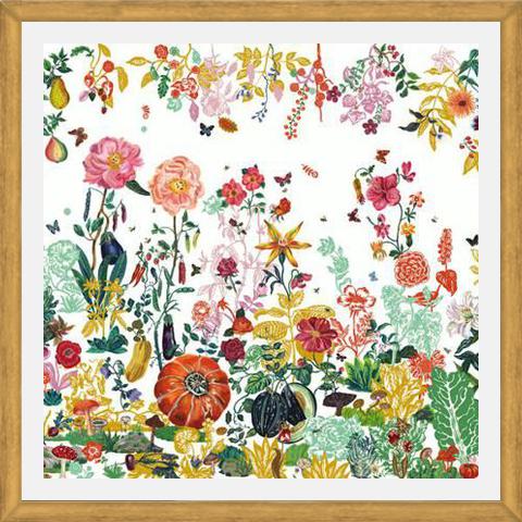 Enmarcado Fleurs