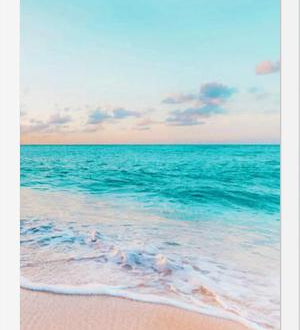 Cuadro Ocean Bliss