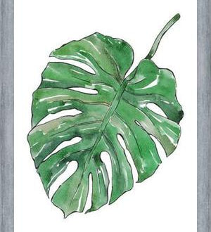 Cuadro Monstera Deliciosa