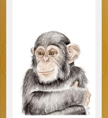 Cuadro Chimpancé