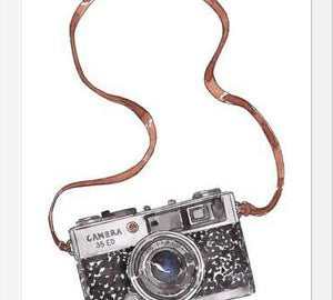 Cuadro CAMARA VINTAGE