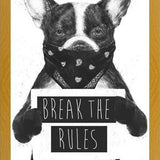 Cuadro Rebel Dog
