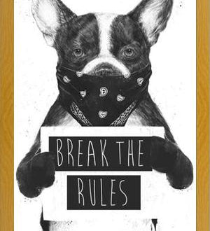 Cuadro Rebel Dog