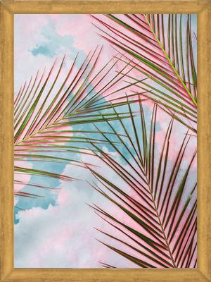 Cuadro Palms + Sky