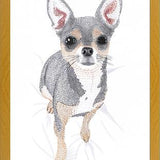 Cuadro Chihuahua