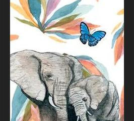 Cuadro Elefants