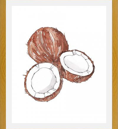 Cuadro COCONUTS