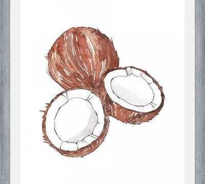 Cuadro COCONUTS