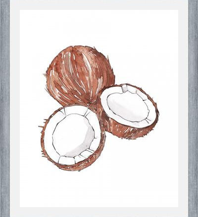 Cuadro COCONUTS