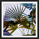 Cuadro Tropical Foliage