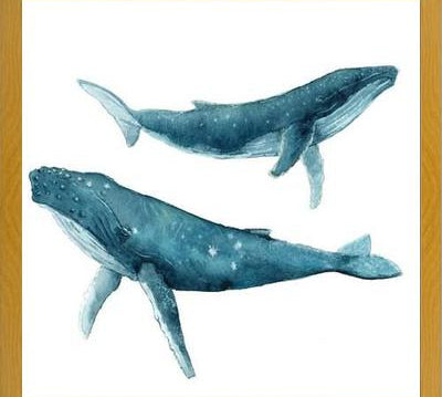Cuadro Ballenas