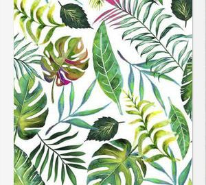 Cuadro Tropical Flora