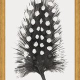 Cuadro Pluma Acuarela 4