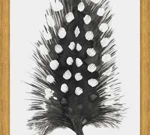 Cuadro Pluma Acuarela 4