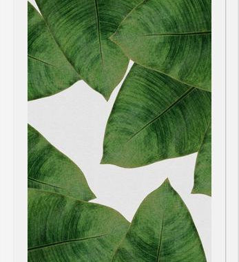 Cuadro Banana Leaf II