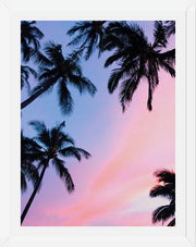 Cuadro Sunset Palms