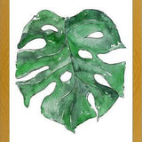 Cuadro Hoja Monstera