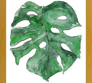 Cuadro Hoja Monstera