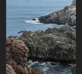 Cuadro PUQUEN