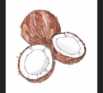 Cuadro COCONUTS