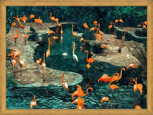 Cuadro Flamingo Creek
