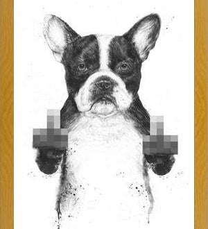 Cuadro Censored dog