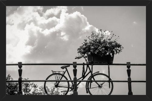Cuadro Bicicleta y flores en canales Amsterdam